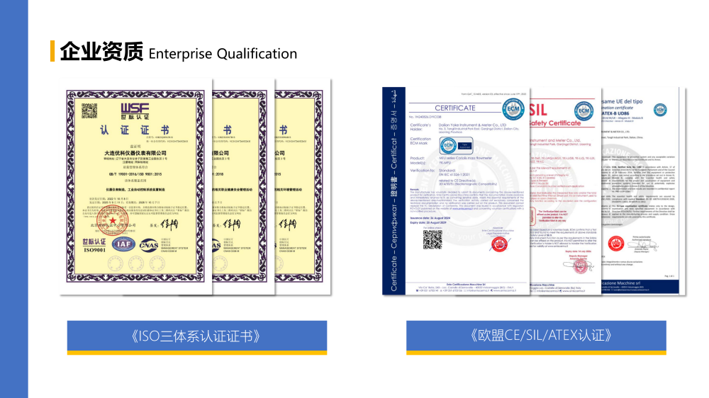 大連優(yōu)科企業(yè)介紹（2026）(1)_07.png